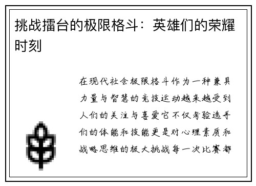 挑战擂台的极限格斗：英雄们的荣耀时刻